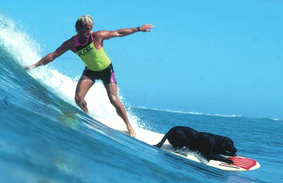 Image dogsguidesurfing.jpg