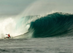 Image kellyslater42.jpg