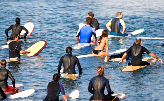 Image surfcrowd3.jpg