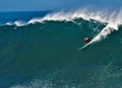 Image kellyslater50.jpg