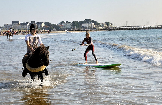 Image horsesurfing2.jpg