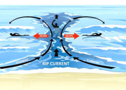 Image ripcurrents.jpg