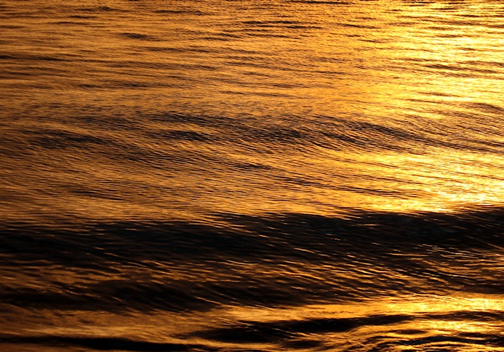 Image goldenwaves.jpg