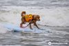 Image 6th-Annual-Space-Coast-Surfers-for-Autism-Festival.aspx