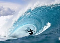 Image kellyslater83.jpg