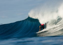 Image kellyslater84.jpg