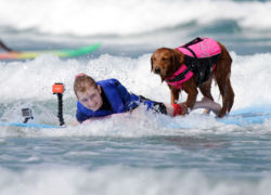 Image surfdogricochet3.jpg