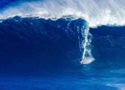 Image bethanyhamilton7.jpg