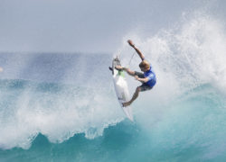 Image johnjohnflorence24.jpg