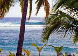 Image surfingcookislands.jpg