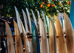 Image oldwaxsurfboards.jpg