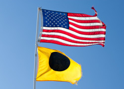 Image blackballbeachflag.jpg