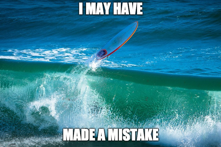 Image surfingmeme.jpg