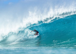 Image kellyslater109.jpg