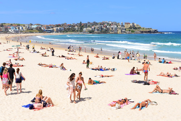 Image bondibeachnsw.jpg