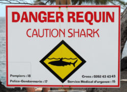 Image sharkattacksign.jpg