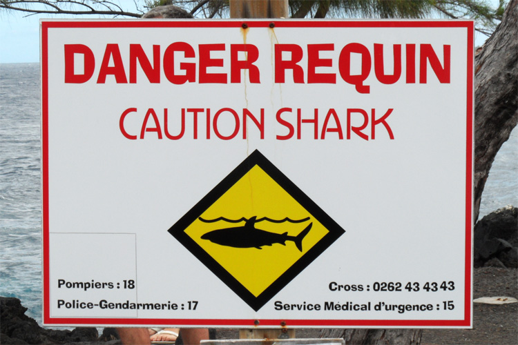 Image sharkattacksign.jpg