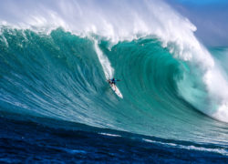 Image jaws-peahi.jpg