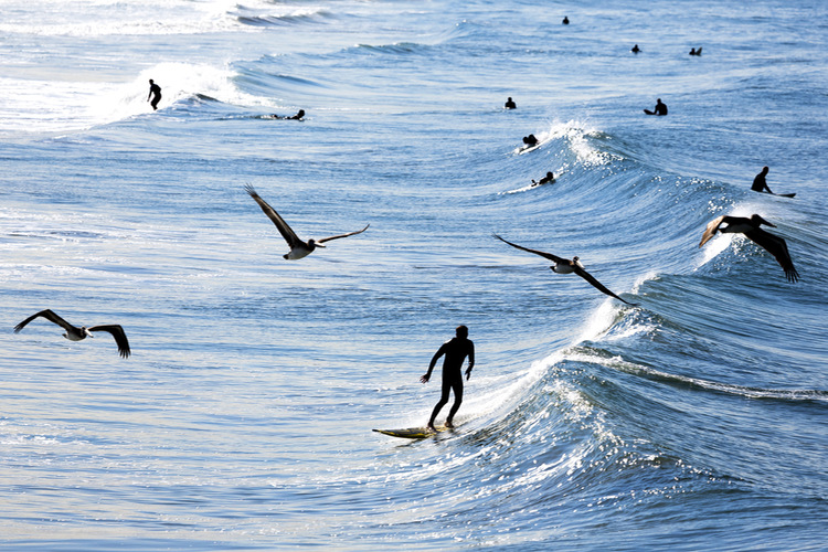 Image eco-friendly-surfer.jpg