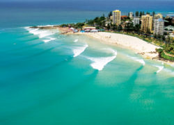 Image snapper-rocks.jpg