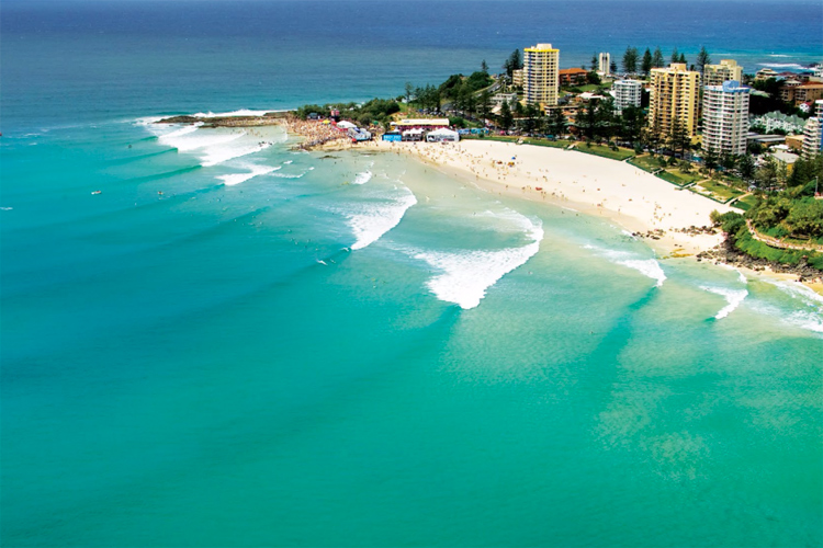 Image snapper-rocks.jpg