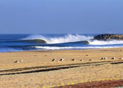 Image portuguese-point-break.jpg