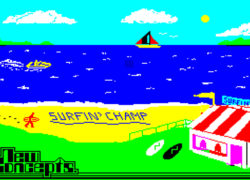 Image surf-champ-game.jpg