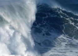 Image kalani-lattanzi-bodysurfing-nazare.jpg