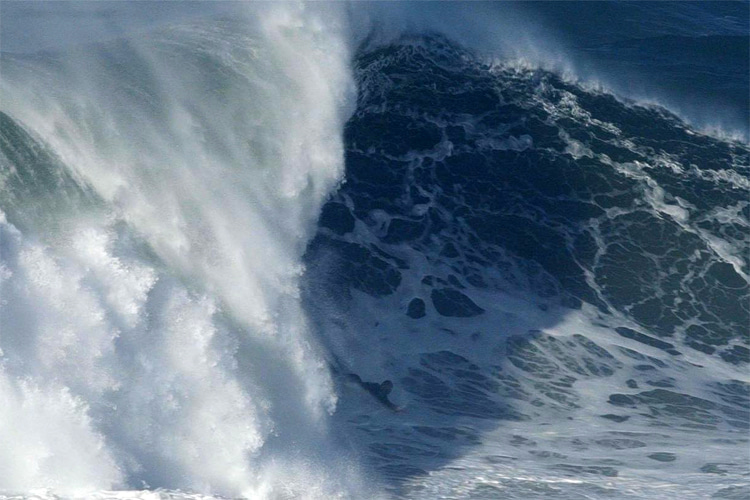 Image kalani-lattanzi-bodysurfing-nazare.jpg