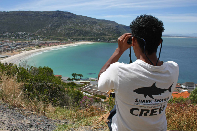 Image shark-spotter.jpg