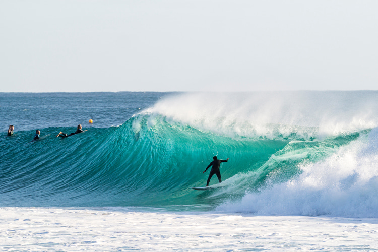 Image newtonian-physics-surfing.jpg