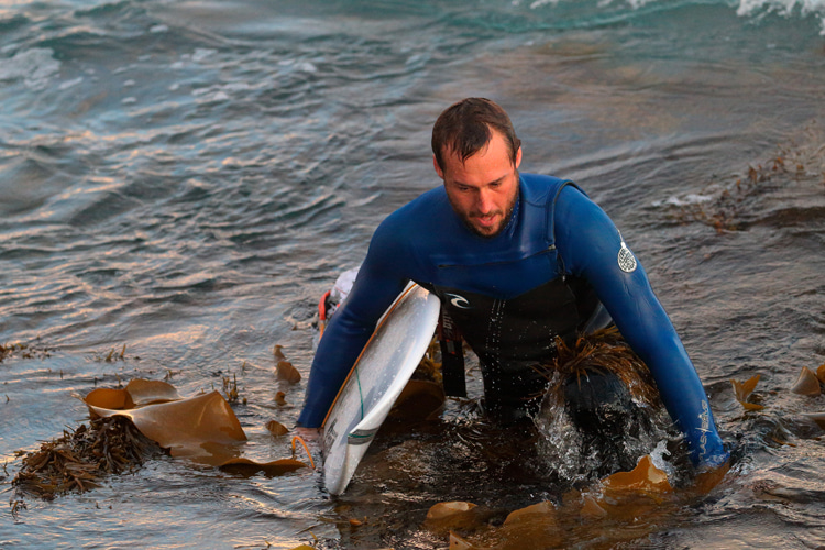 Image kelp-surfer.jpg